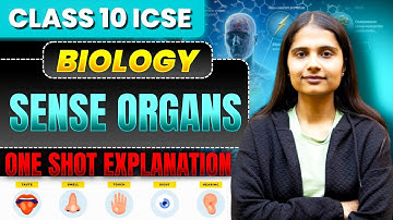 Sense Organs | Class 10 ICSE Biology | Complete Chapter Explained