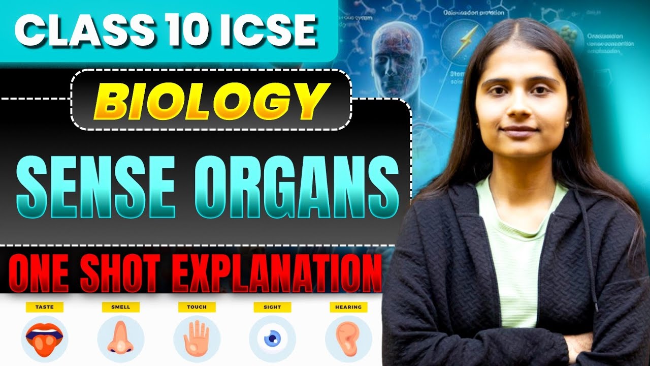 Sense Organs | Class 10 ICSE Biology | Complete Chapter Explained - YouTube