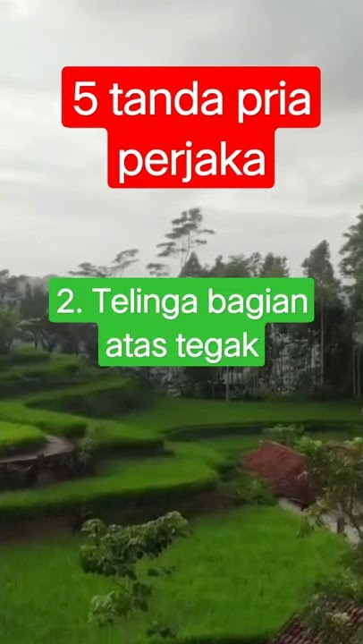 5 tanda pria perjaka.