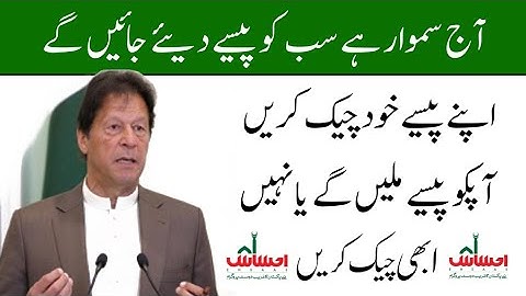 Ehsaas Emergency Program New updates | Ehsaas Nadra Gov Pk | Insaf Imdad New Update | 8171 SMS today