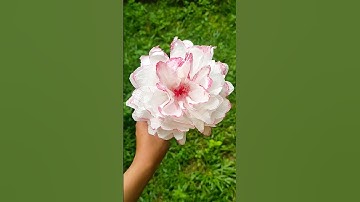 DIY tissue paper flower | How to make a Carnation #diy #shortsviral #tissuepaperflower #paperflower