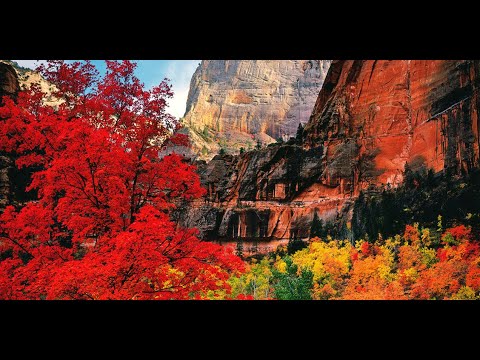 Zion National Park