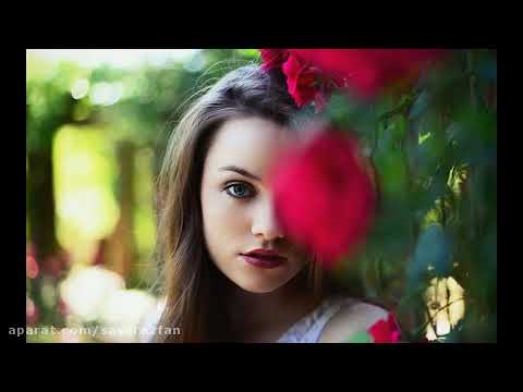 امین حبیبی دارم دق میکنم تحمل ندارم