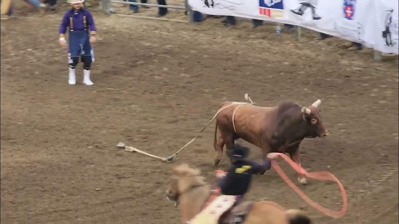 salinas pbr 2022🦬 YouTube