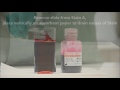Video Image