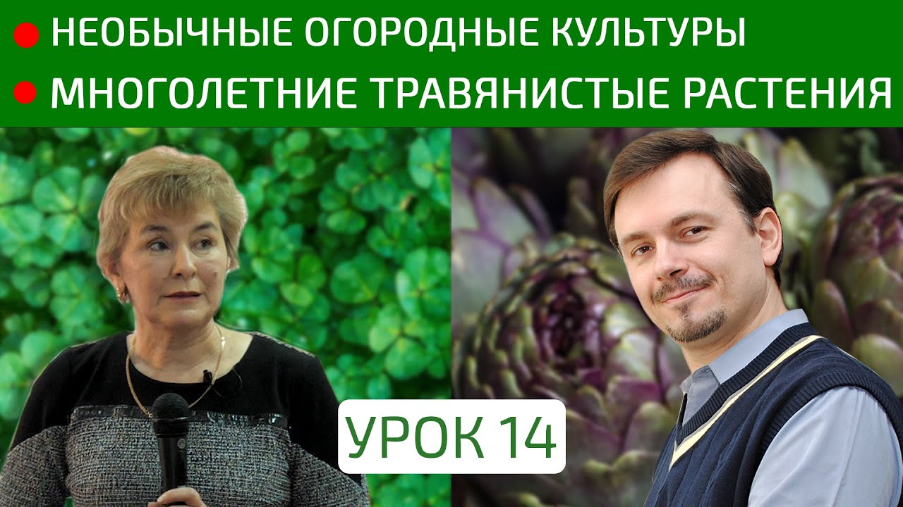 Многолетние и однолетние травы. Необычные огородные культуры - YouTube