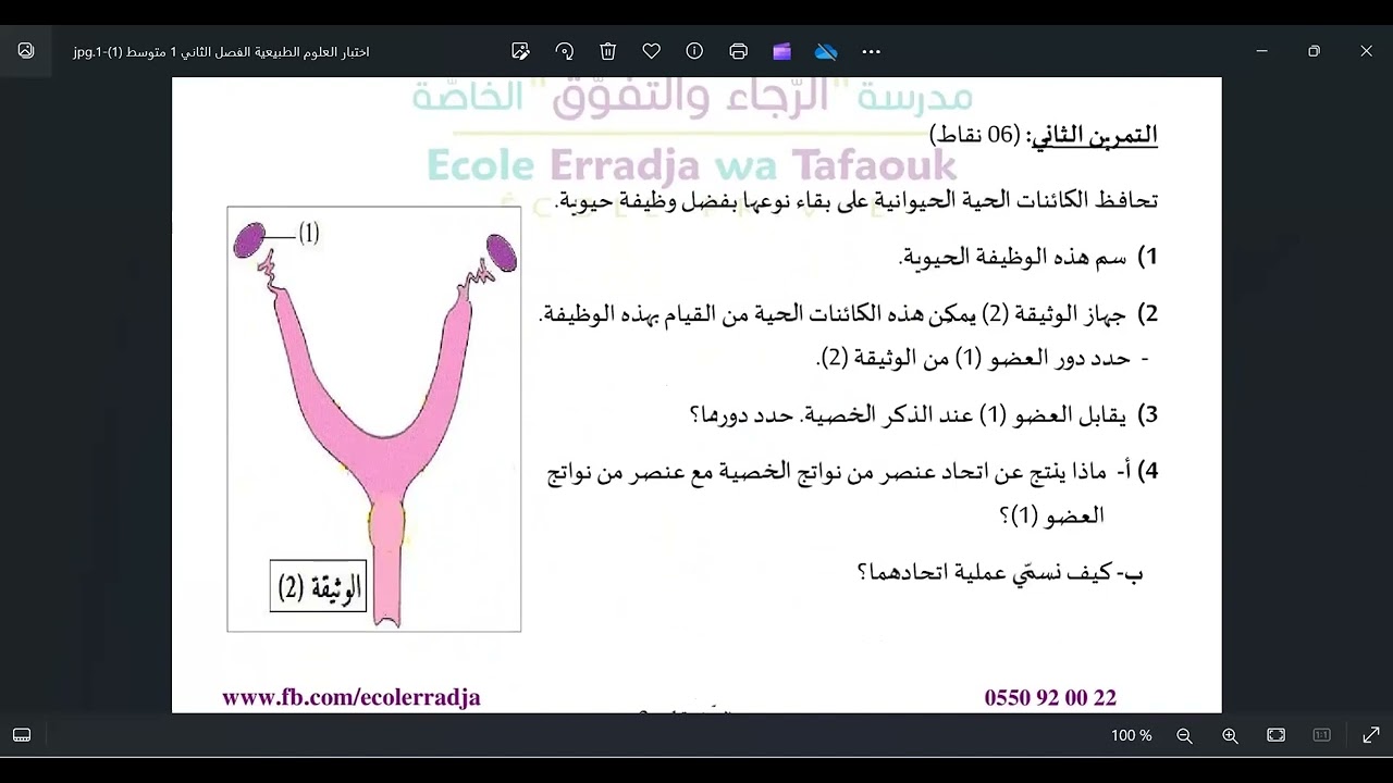 حصة تمارين مراجعة لاختبار الفصل الثالث الأولى متوسط