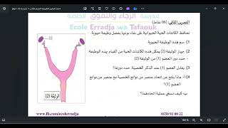 حصة تمارين مراجعة لاختبار الفصل الثالث الأولى متوسط