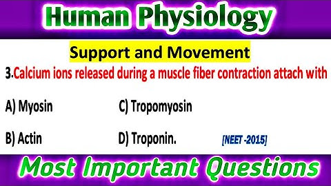 Support and Movement : Human Physiology MCQs: Most Important Questions