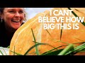GROWING A GIANT | worlds biggest pumpkin & February 2024 Garden tour