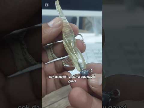 SİLİKON JIGHEAD KAYMA