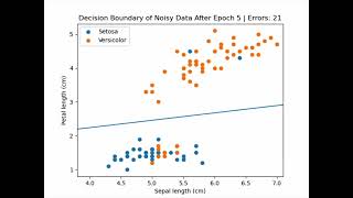 Perceptron Decision Boundary on Noisy Data - Animation