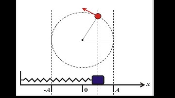 Con lắc lò xo dao động điều hòa và chuyển động tròn đều