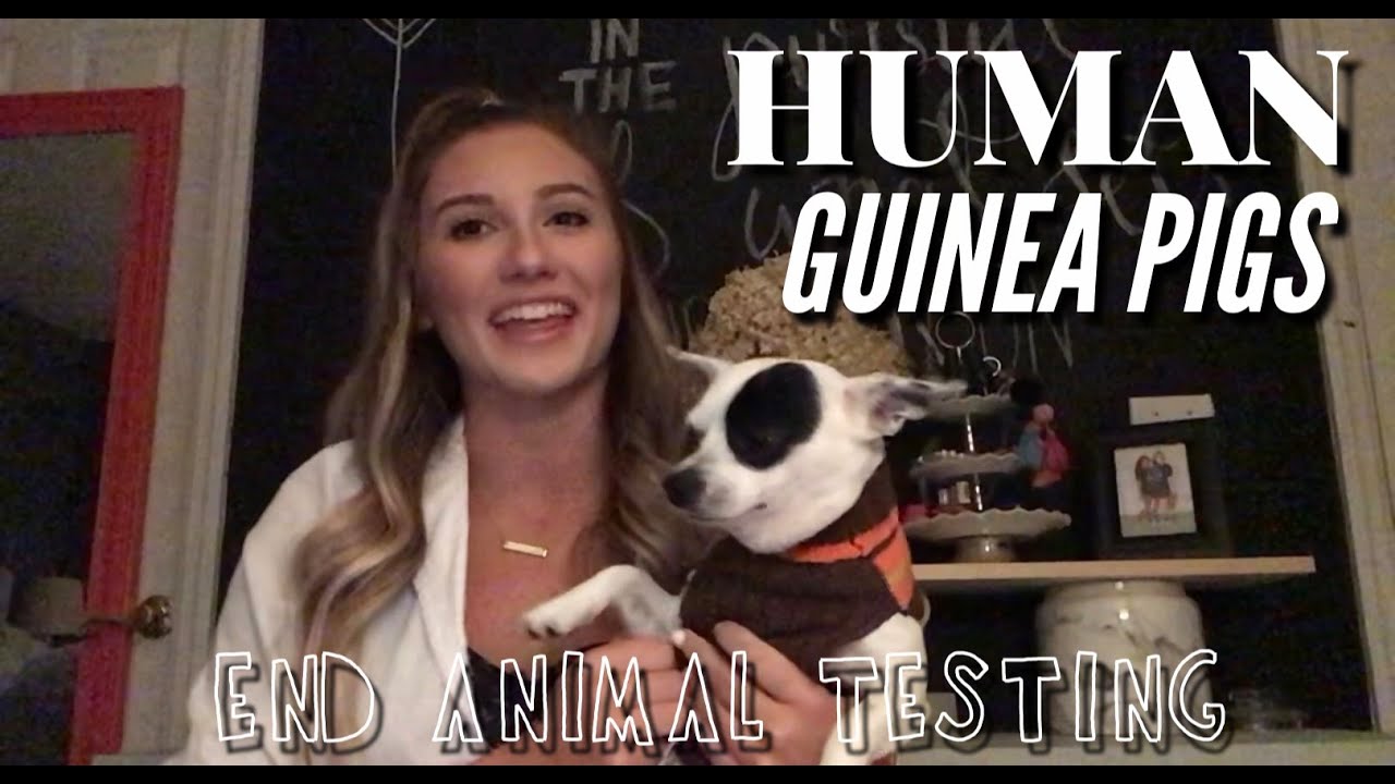 Human Guinea Pigs YouTube