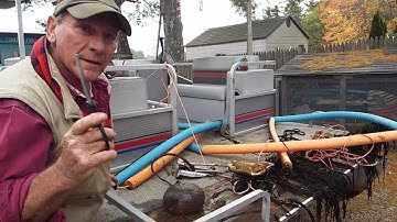 Bryozoan Colony is like a gel or jellyfish living in Baboosic Lake NH