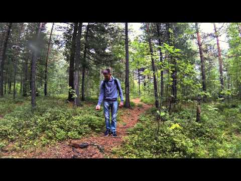 Видеоролик: Парк Сайма