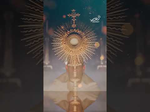 السنة الليتورجي ة الماروني ة