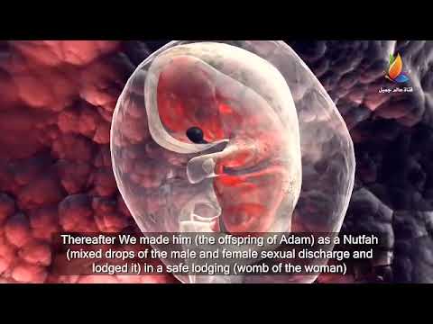 بعض سورة المؤمنون راحة وسكينة وهدوء للقارئ الشيخ سامح دلول