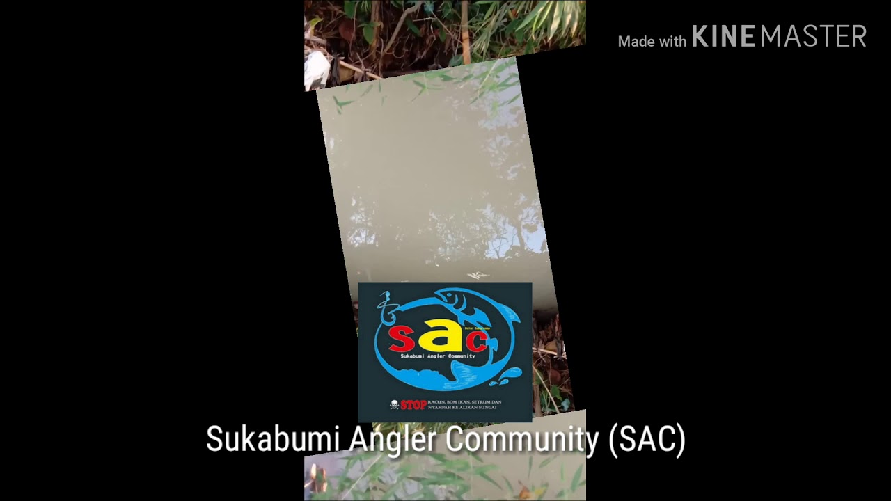 Sensasi Strike Ikan Wader/Beunteur - YouTube