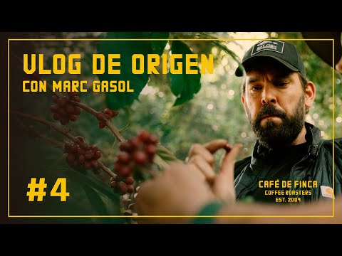 EP. 4 VLOG: VIAJE A ORIGEN w/ MARC GASOL