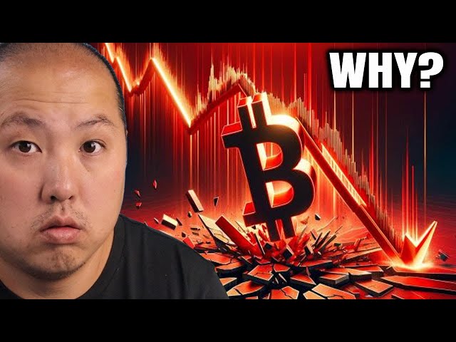 Why Bitcoin Keeps Crashing class=