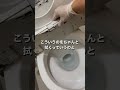 満室大家さんが教える、トイレ掃除