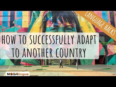 Culture Shock: How to Successfully Adapt to Another Country