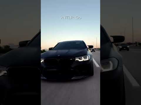 VNTLP - GO