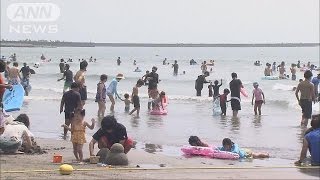 茨城、16匹サメ確認で防護網　一部で遊泳禁止が解除(15/08/08)