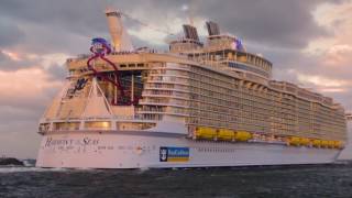 Michael Bailey Ceo Royal Caribbean International