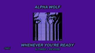 Alpha Wolf - Whenever You're Ready (Slowed + Reverb)