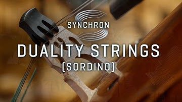 Synchron Duality Strings Sordino | When “muted” means more expression