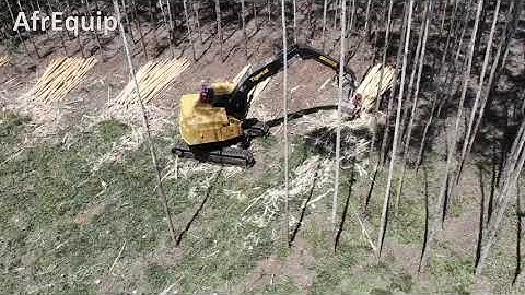 AfrEquip Tigercat Log Max SOS