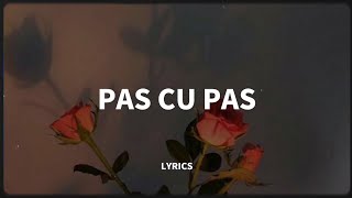 Andra - Pas Cu Pas // versuri