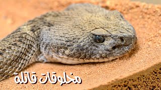 أخطر 10 مخلوقات في العالم ( الأكثر سمية )