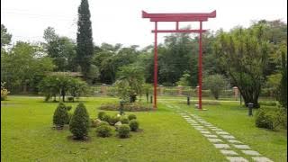 Peaceful Japanese Garden - Koto and Shakuhachi