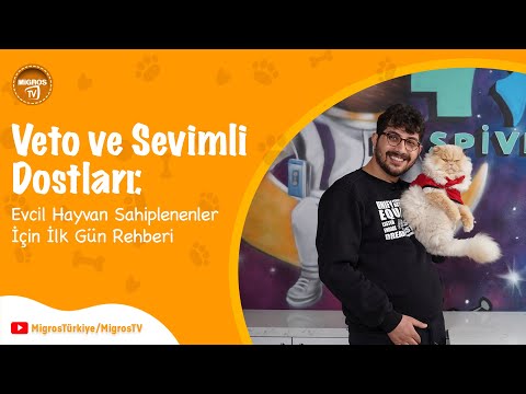 Video: Evcil Hayvan Temalı Teklifler Evet Güvencesine Yardımcı Olur