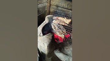 Về Quê Nướng Cá Lóc Thơm Ngon Ăn Cháy Nồi Cơm #shorts