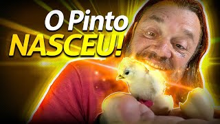 CHOCAMOS UM PINTO EM CASA! | A CASA DOS BICHOS