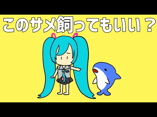 このサメ飼っていい?NEW!せなすけ