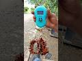 Mira todo el cobre que contiene un motor de lavadora #taller #shortsfeed #diy #chatarreros