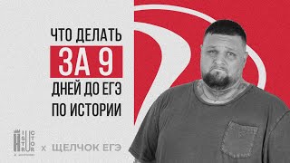 9 дней до ЕГЭ по истории | КАКОЙ У НАС ПЛАН ДЕЙСТВИЙ?