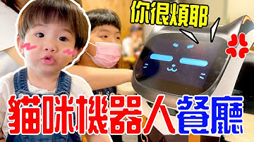 超可愛的貓咪送餐機器人 被玩到生氣了 🤣 恩恩老師EanTV