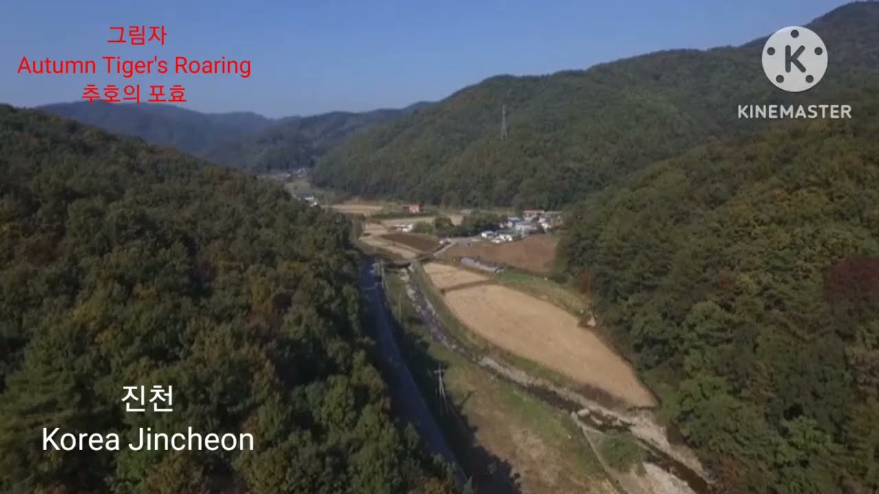 Watch 추호노래, 이영숙, 그림자(The shadow) on YouTube Watch 추호노래, 이영숙, 그림자(The shadow) on YouTube