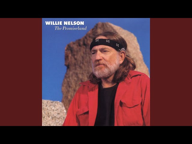 Willie Nelson - I'm Not Trying To Forget You