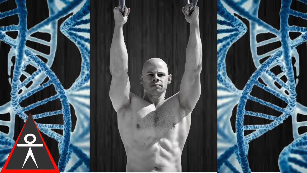 calisthenics workout program for beginners Genetics and Fitness