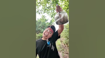 Max công suất robot tưới cây #funny #comedy #shorts #robot