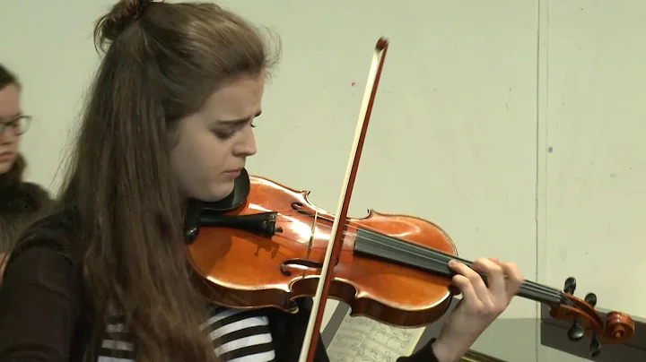 Brahms Violin Sonata No.3 | LDSM 2016 Violin Maste...