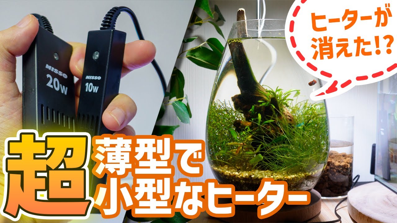 Ultra Small And Ultra Thin Review Of Auto Heater For Small Aquariums And Bottle Aqua Aquarium Youtube