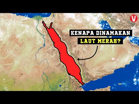 Video: Selam berkepala merah: foto, deskripsi, area